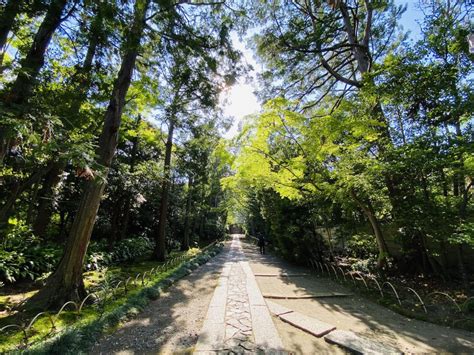 壽福|鎌倉で最も美しい石畳で知られる「寿福寺」